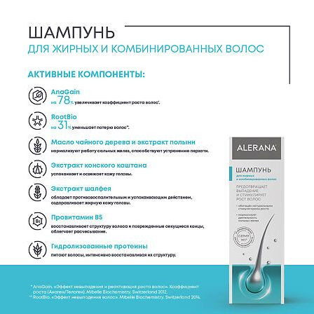 АЛЕРАНА шампунь д/жир. и комб волос 250мл МАРКИРОВКА — фото 3