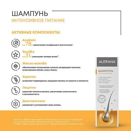 АЛЕРАНА шампунь Интенсивное питание волос 250мл МАРКИРОВКА — фото 5